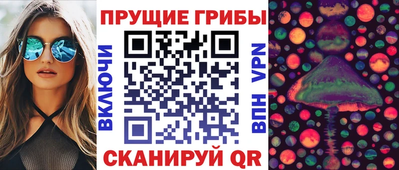 даркнет сайт  Черемхово  Галлюциногенные грибы Psilocybine cubensis 